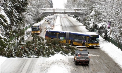 A Metro bus is routed around a tree that fell across Highway ...