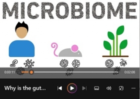 Why is the gut microbiome important?