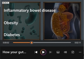 How your gut microbes shape your health