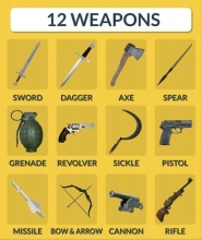 12 WEAPONS