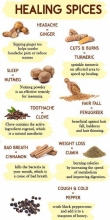 HEALING SPICES