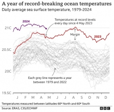 A year of record-breaking ocean temperatures