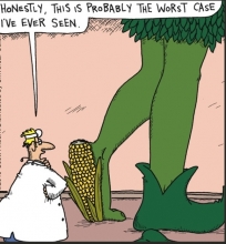 HONESTLY, THIS IS PROBABLY ...