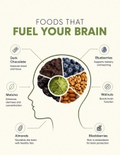 FOODS THAT FUEL YOUR BRAIN