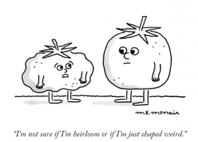 Im not sure if Im heirloom ...