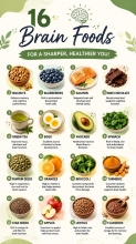 Brain Foods