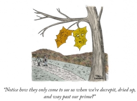 Notice how they only come to ...